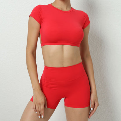 EZYFIT BUGLOSS SET